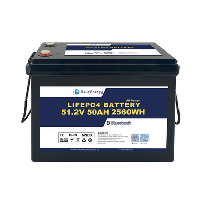 Bely Energy an toàn và đáng tin cậy 48v 50ah Lifepo4 pin Pack cho điện tử tiêu dùng EV