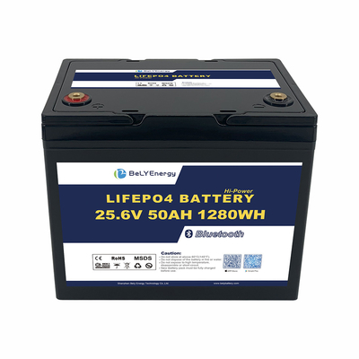 OEM ODM ABS pin chống tia UV tàu biển 24V 50AH LiFePO4 pin lithium với BT